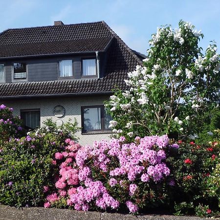 Haus Wiesel Bispingen Kültér fotó